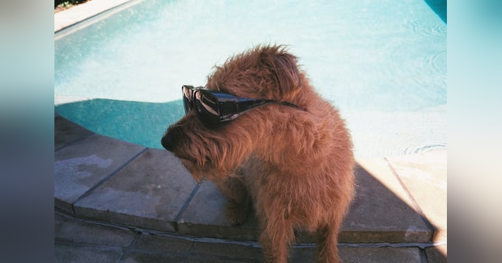 image for From Customers to Community: Redefining Business Relationships