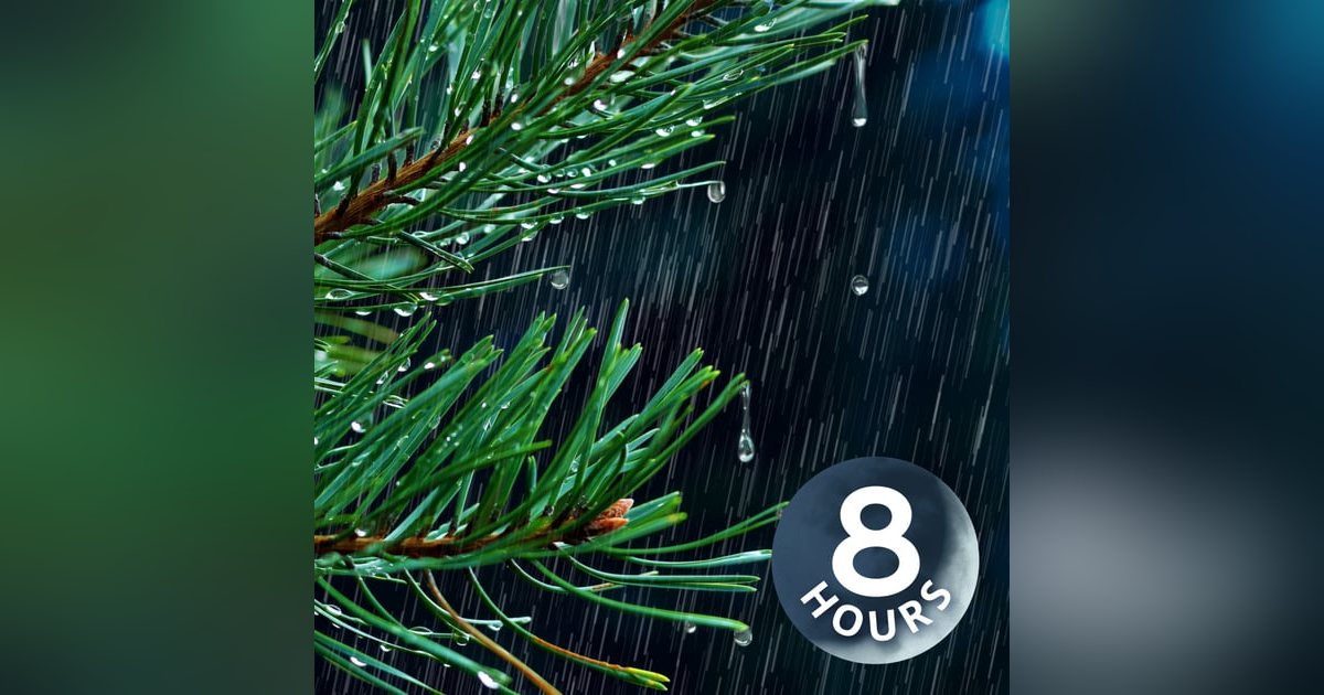 Heavy Rain Sound for Sleeping | 8 Hour Relaxing Rainfall White Noise for Deep Sleep Heavy Rain Sound for Sleeping | 8 Hour Relaxing Rainfall White Noise for Deep Sleep