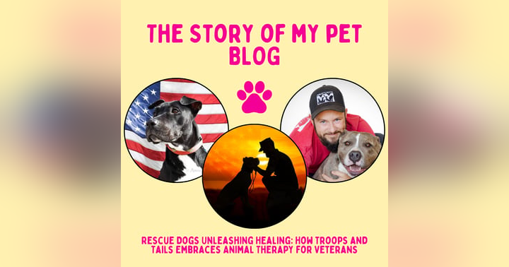 image for Rescue Dogs Unleashing Healing: How Troops and Tails Embraces Animal Therapy for Veterans