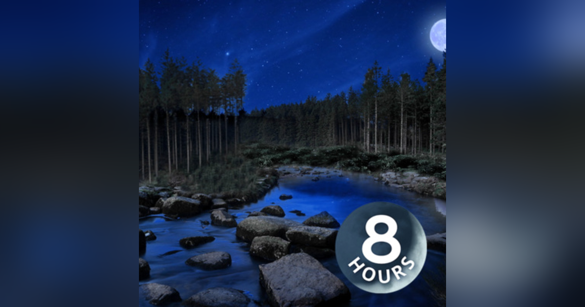 Bubbling Stream At Night 8 Hours | Crickets & Nature | For Sleeping or Studying Bubbling Stream At Night 8 Hours | Crickets & Nature | For Sleeping or Studying