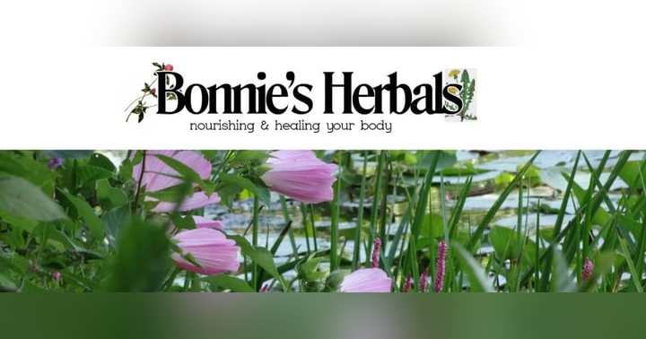 image for Herbal Remedies, Alkaline Water, and Toxin Reduction: Key Pillars of Bonnie Rogers' Wellness Programs