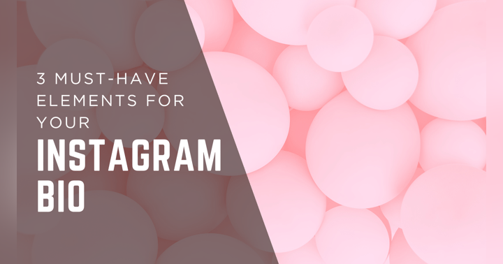 image for 3 Must-Have Elements for Your Instagram Bio: A Balloon Business Owner's Guide