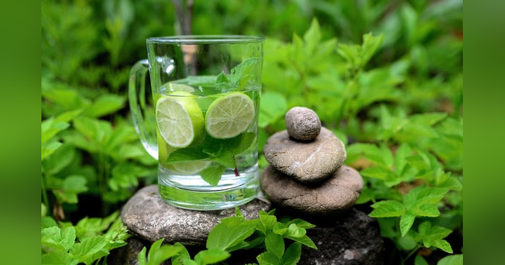 image for Harnessing the Healing Power of Plant Medicine: A Journey into Nature's Pharmacy