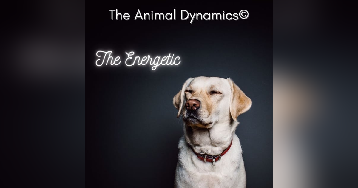 Conversations with Coryelle- The energetic Conversations with Coryelle- The energetic