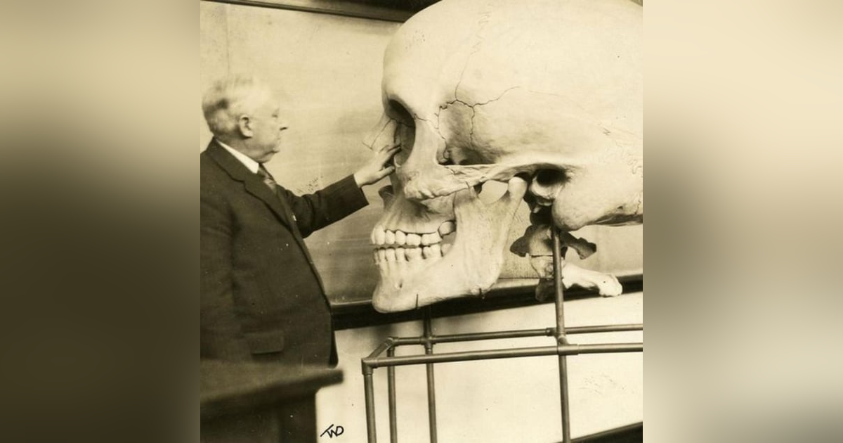 Giants: Sons of Gods Giants: Sons of Gods