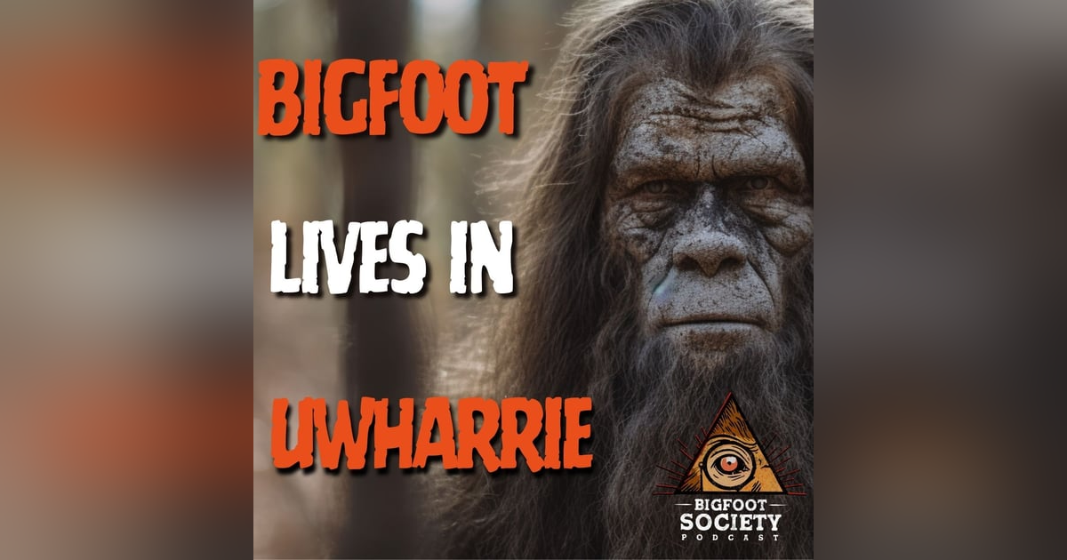 Bigfoot Is Attacking My House / Uwharrie Forest, North Carolina Bigfoot Is Attacking My House / Uwharrie Forest, North Carolina