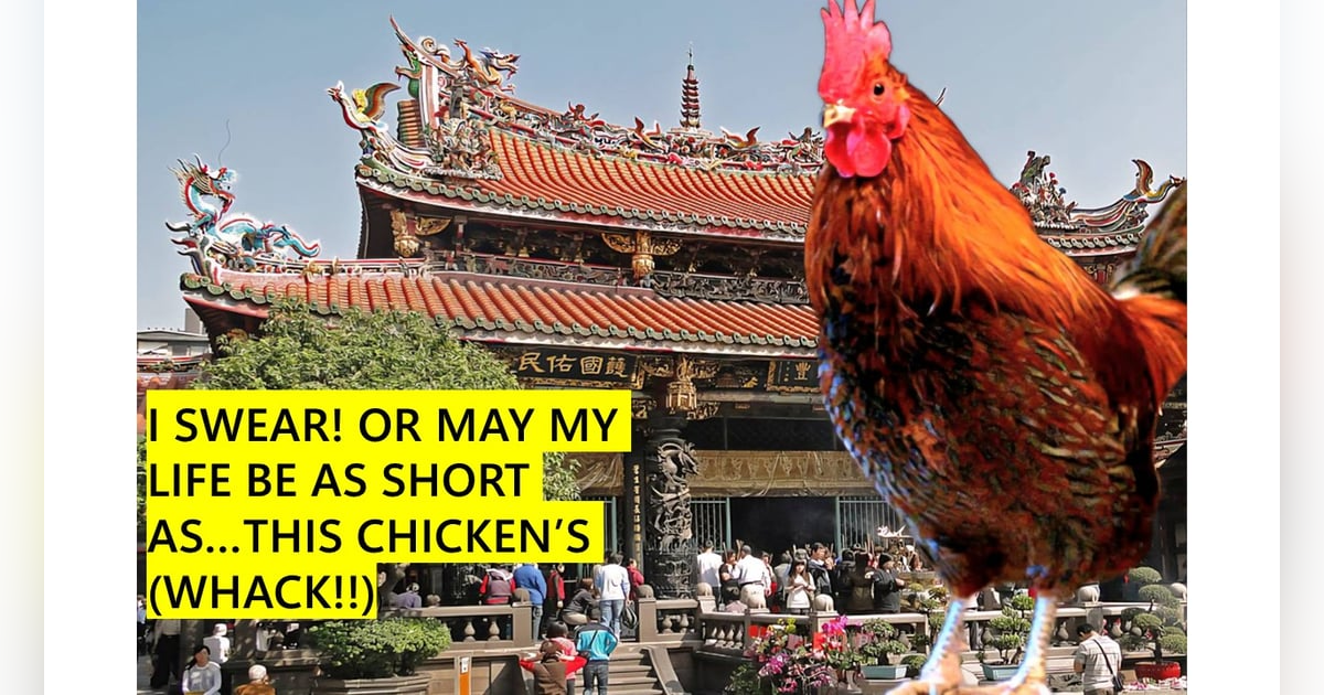 Swearing with Chickens, and other Taiwan Bird Adventures – S5-E31 Swearing with Chickens, and other Taiwan Bird Adventures – S5-E31