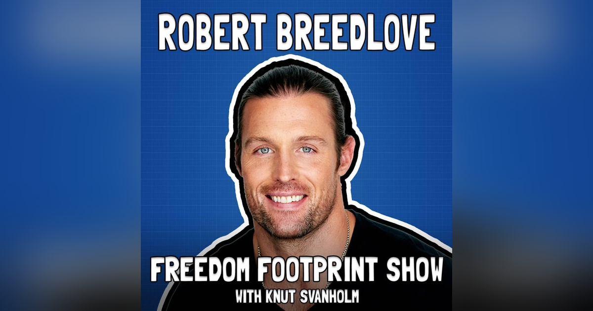Money, Meaning, and Metaphysics with Robert Breedlove - Freedom Footprint Show 56 Money, Meaning, and Metaphysics with Robert Breedlove - Freedom Footprint Show 56