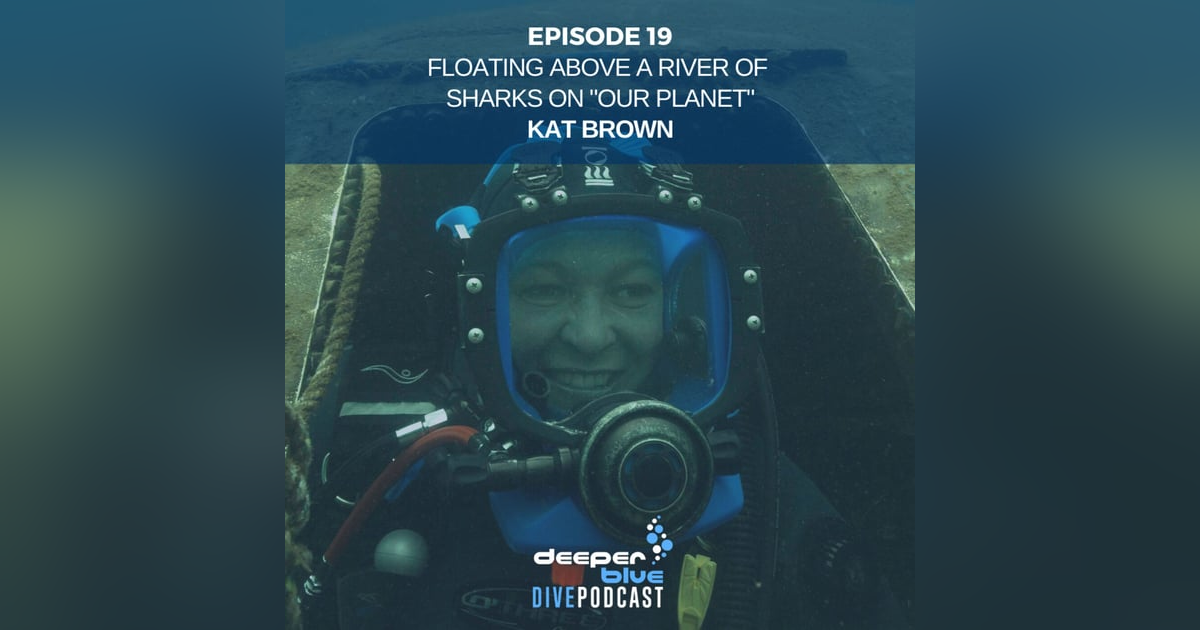 Floating Above A River of Sharks on Floating Above A River of Sharks on