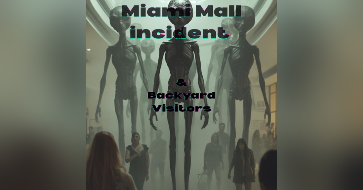 Miami Mall Incident & The Backyard Visitors Miami Mall Incident & The Backyard Visitors