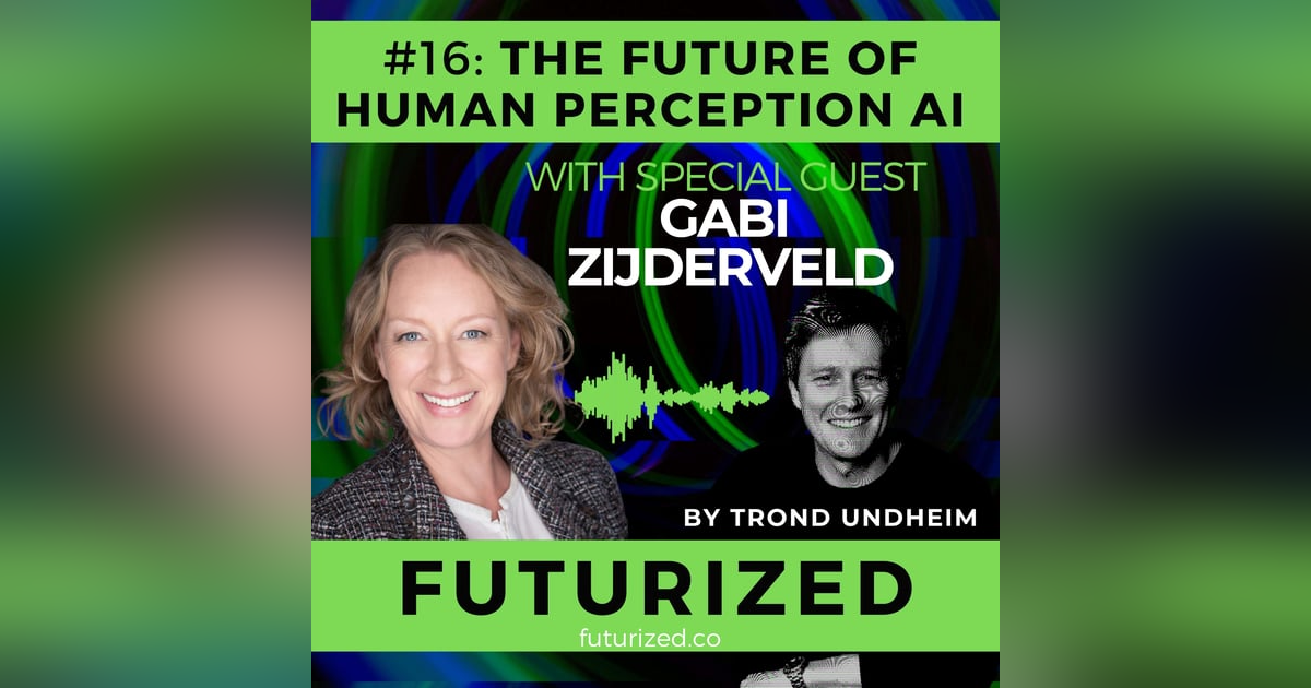 The Future of Human Perception AI The Future of Human Perception AI