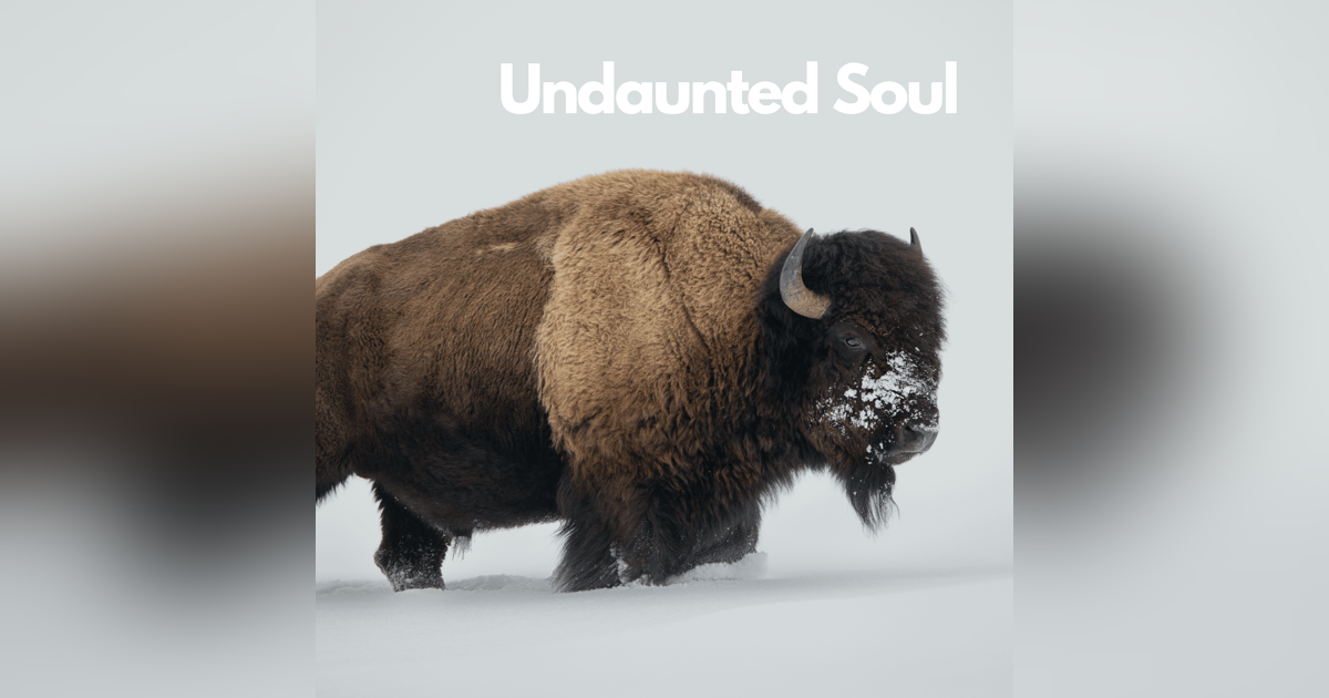 Undaunted Soul | Chelsea Olson | Episode 31 Undaunted Soul | Chelsea Olson | Episode 31