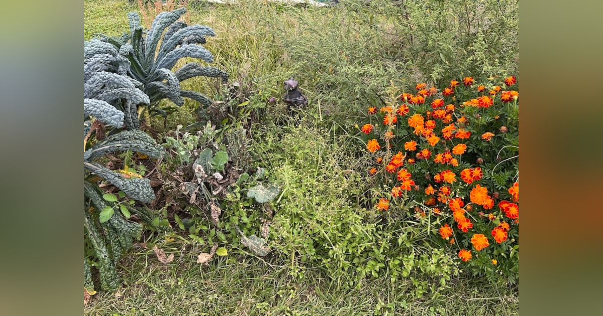 93. The Reluctant Gardener - Part 2 93. The Reluctant Gardener - Part 2