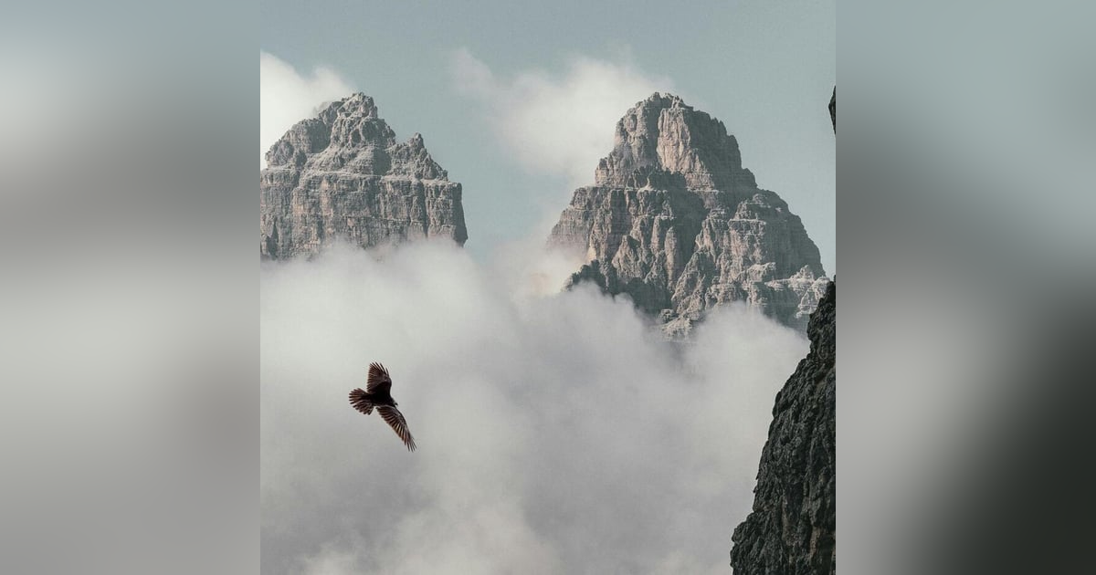 Adoptar la mentalidad del águila Adoptar la mentalidad del águila