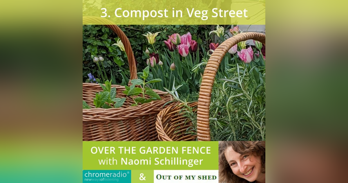 OVER THE GARDEN FENCE 3 | Compost in Veg Street OVER THE GARDEN FENCE 3 | Compost in Veg Street