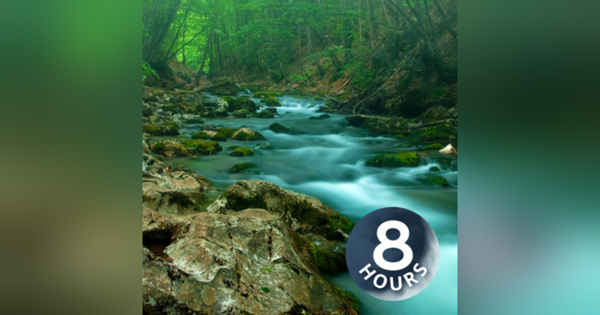 Forest Creek Water Sounds for Stress Relief, Relaxation or Sleep 8 Hours Forest Creek Water Sounds for Stress Relief, Relaxation or Sleep 8 Hours