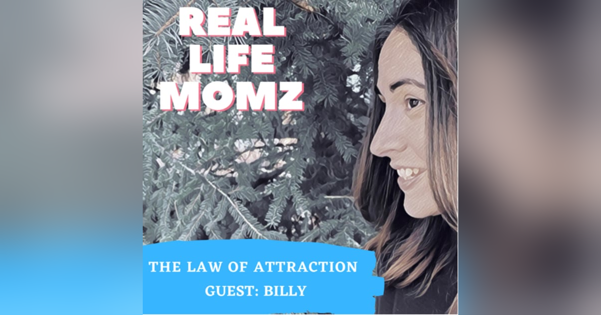 The Law Of Attraction The Law Of Attraction