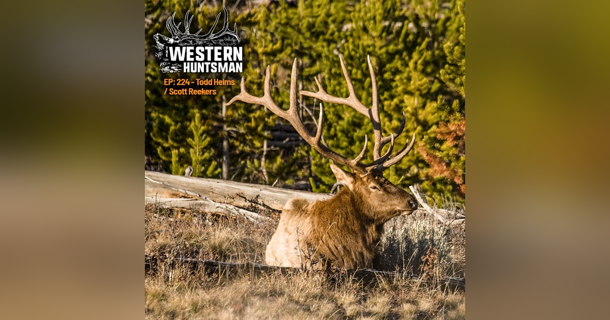 224. Grizzlies, Public Lands, and the Fight for the Outdoors | Scott Reekers & Todd Helms 224. Grizzlies, Public Lands, and the Fight for the Outdoors | Scott Reekers & Todd Helms