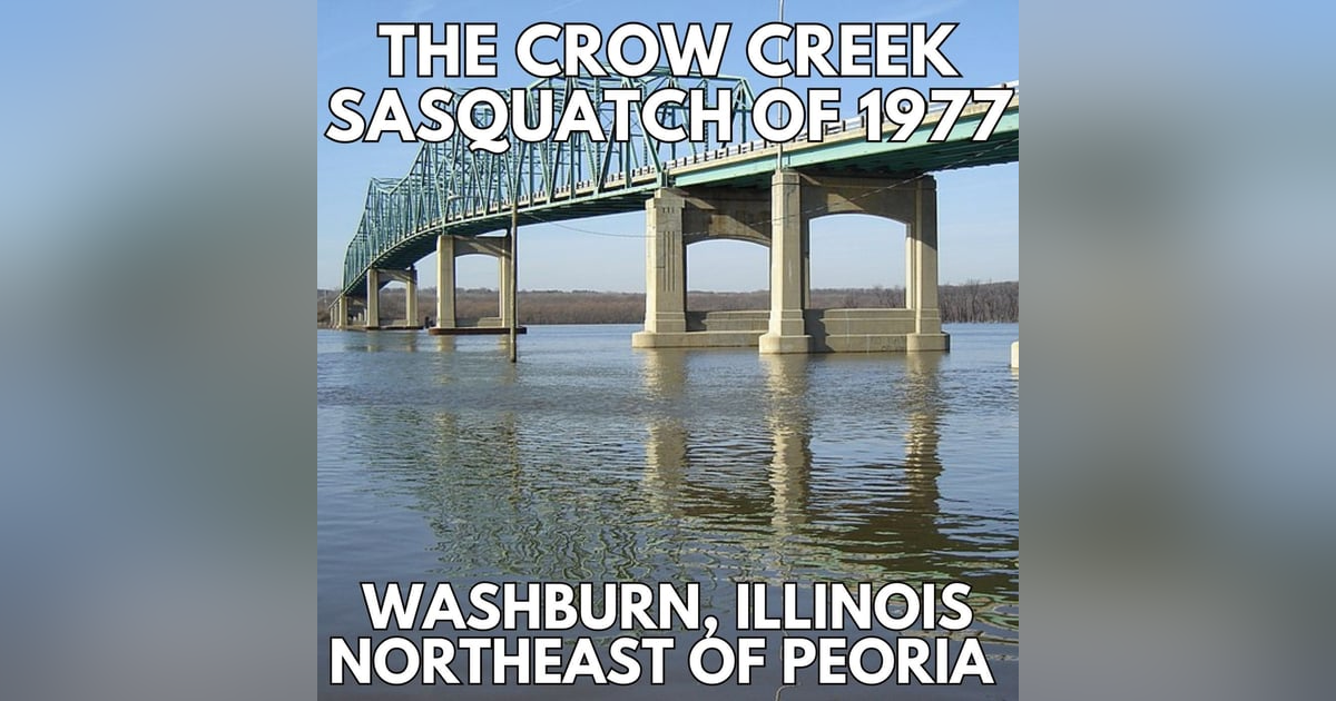 Bigfoot Encounter at Crow Creek, Illinois Bigfoot Encounter at Crow Creek, Illinois