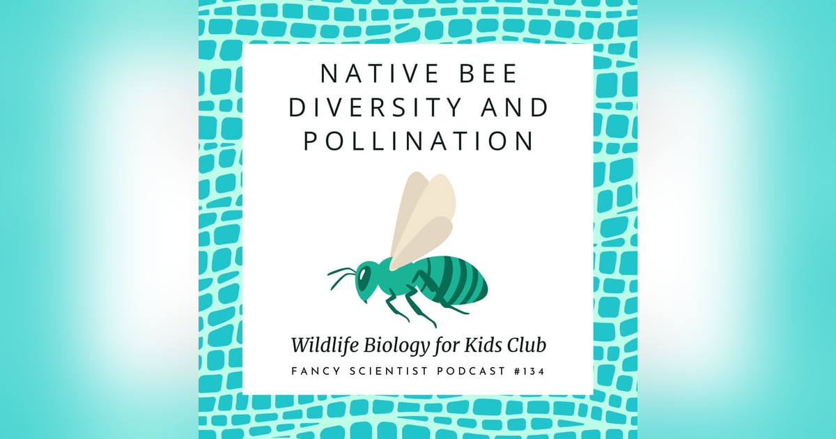Native Bee Diversity and Pollination | Wildlife Biology for Kids Club Native Bee Diversity and Pollination | Wildlife Biology for Kids Club