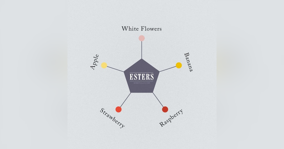 Episode 66-Wine Esters, Moms In Wine, Is Less More For Wine Labels Episode 66-Wine Esters, Moms In Wine, Is Less More For Wine Labels