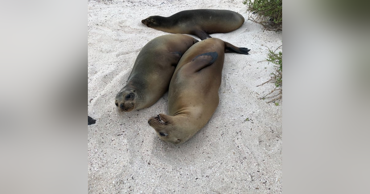 Customers Business & Family Customers Business & Family