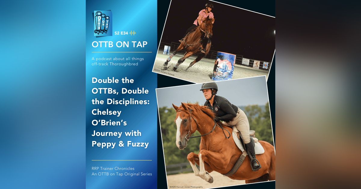 S2 E34 | Double the OTTBs, Double the Disciplines: Chelsey O’Brien’s Journey with Peppy & Fuzzy | RRP Trainer Chronicles S2 E34 | Double the OTTBs, Double the Disciplines: Chelsey O’Brien’s Journey with Peppy & Fuzzy | RRP Trainer Chronicles