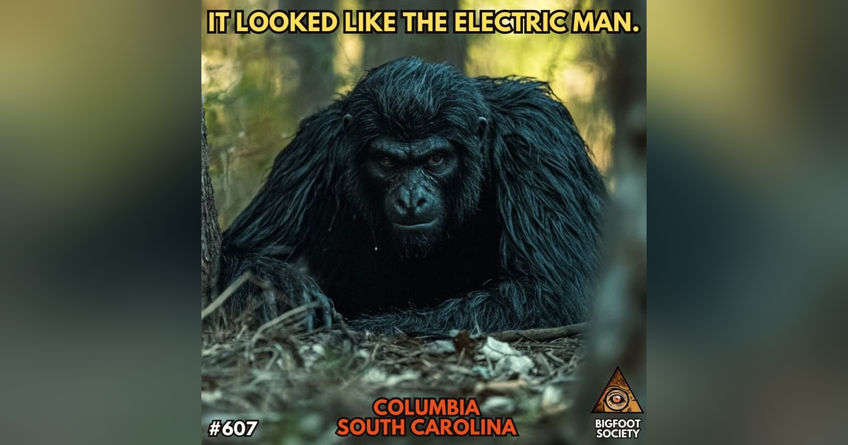 It Looked Like the Electric Man! | South Carolina It Looked Like the Electric Man! | South Carolina
