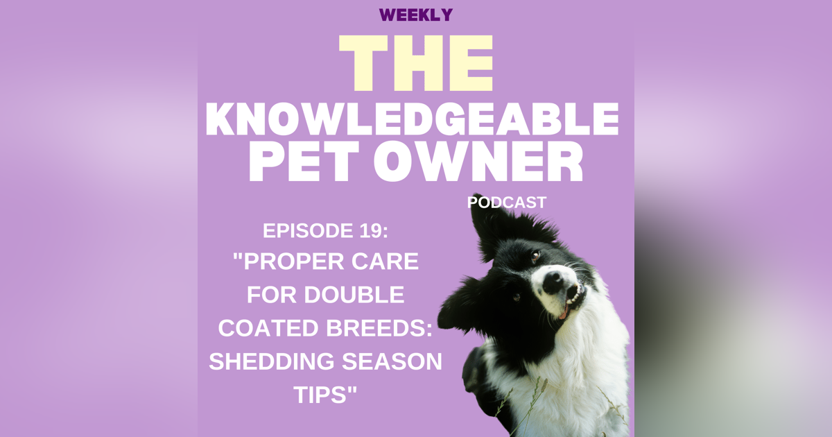 Proper Care for Double Coated Breeds: Shedding Season Tips Proper Care for Double Coated Breeds: Shedding Season Tips