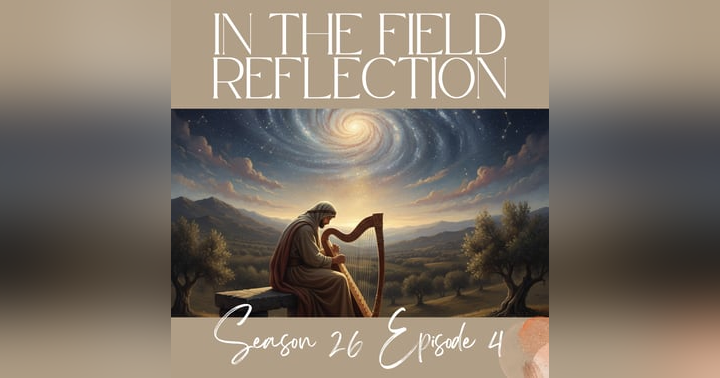 image for Midnight Voices Stilled: Peace Given Not Earned