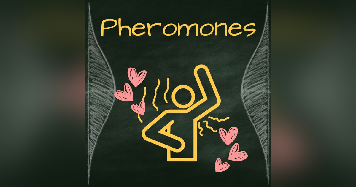 Pheromones: Is sexy sweat the key to genetic diversity? Pheromones: Is sexy sweat the key to genetic diversity?