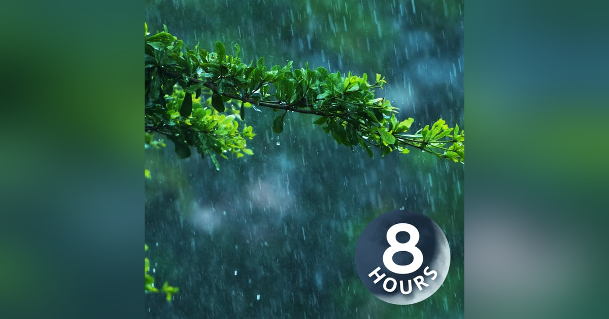 Jungle Rain Sounds for Sleep I White Noise Raining 8 Hours Jungle Rain Sounds for Sleep I White Noise Raining 8 Hours
