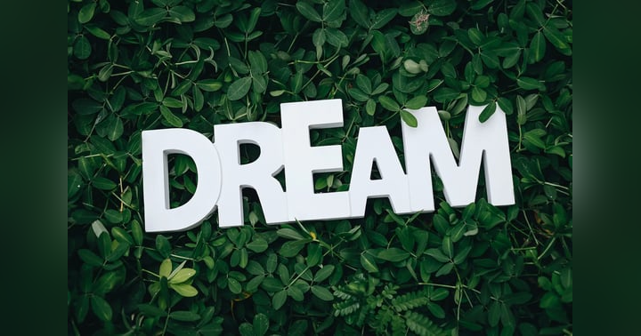 image for Chasing Dreams: It’s Never Too Late, Ladies!