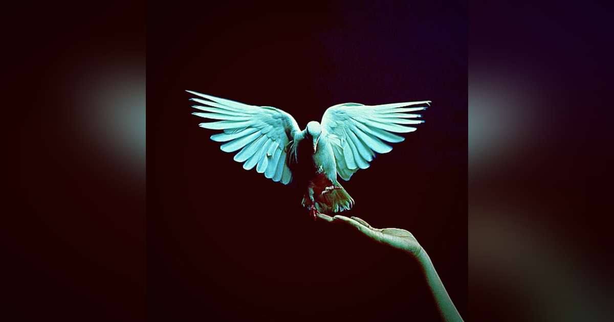 I Know Whom I Have Believed Acapella Hymns Solo I Know Whom I Have Believed Acapella Hymns Solo
