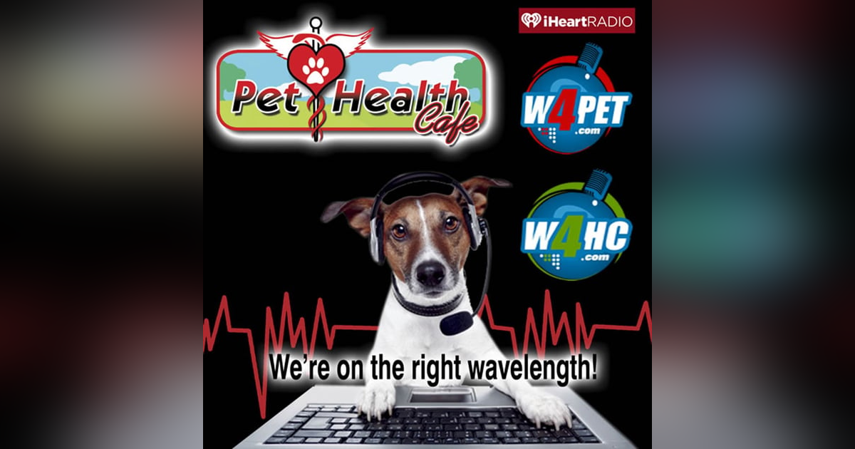 What We Are All About What We Are All About