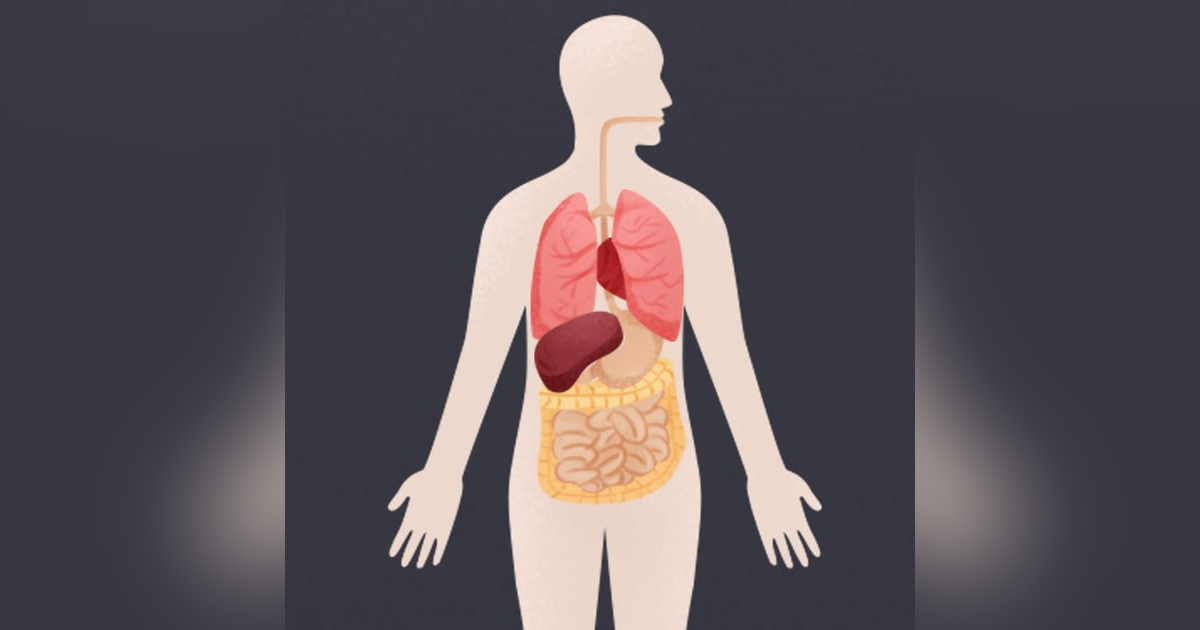 The Body: A Guide for Occupants by Bill Bryson The Body: A Guide for Occupants by Bill Bryson