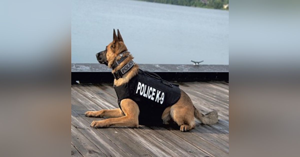 Episode 14 – DOGNAPPED! Minor Deity Steals Police K9, and Other Hilarity Episode 14 – DOGNAPPED! Minor Deity Steals Police K9, and Other Hilarity