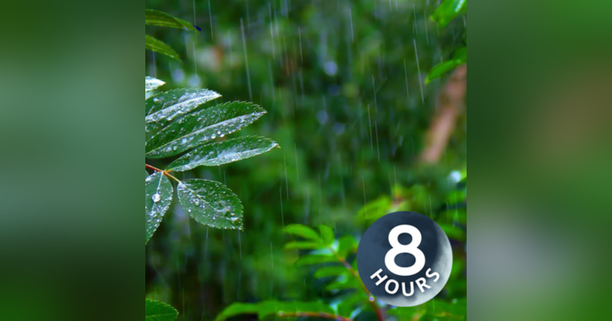 Rainforest Rain Sounds for Sleeping or Studying I White Noise Rainstorm 8 Hours Rainforest Rain Sounds for Sleeping or Studying I White Noise Rainstorm 8 Hours