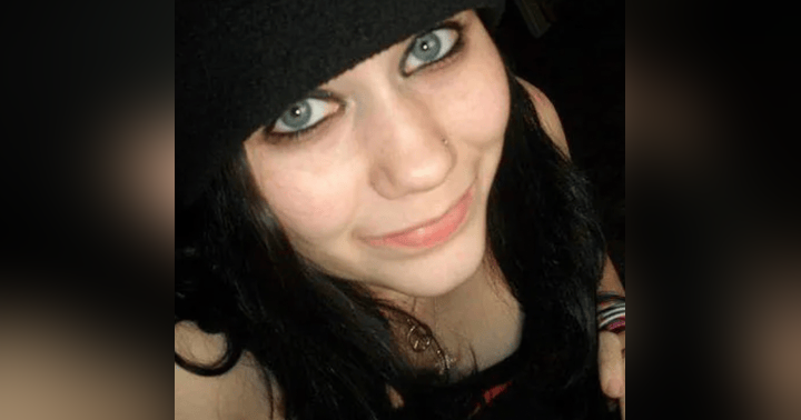 image for The Disappearance of Ali Lowitzer