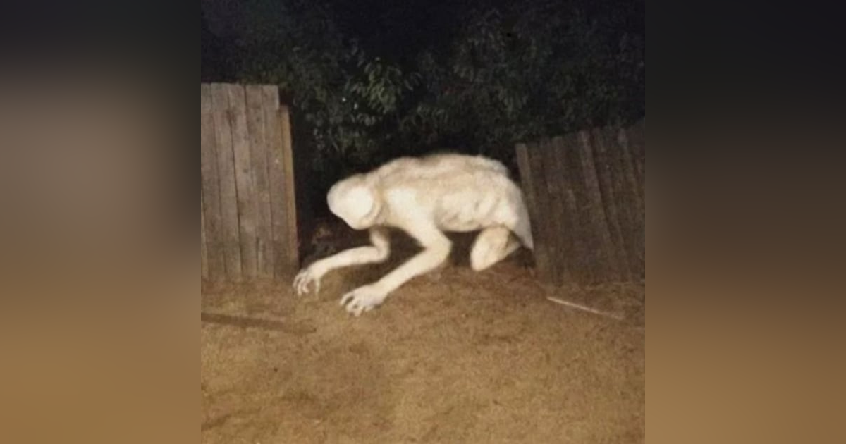 El Nahual Blanco Historias De Terror - REDE El Nahual Blanco Historias De Terror - REDE