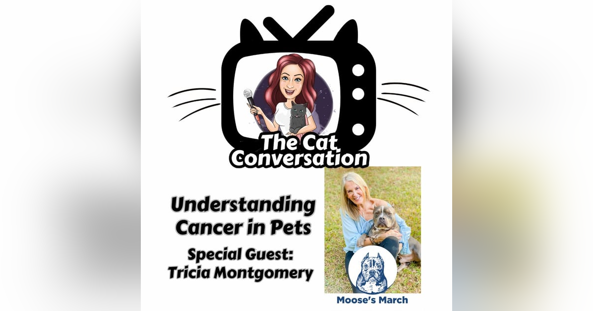 Understanding Cancer in Pets with Special Guest Tricia Montgomery Understanding Cancer in Pets with Special Guest Tricia Montgomery