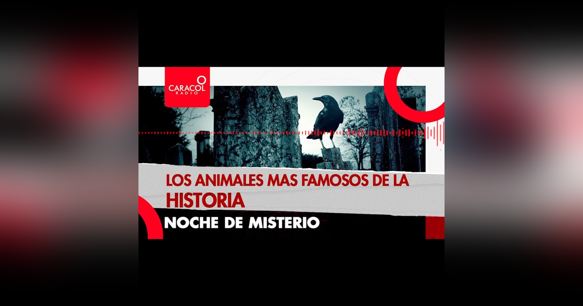 Los animales más famosos de la historia Los animales más famosos de la historia
