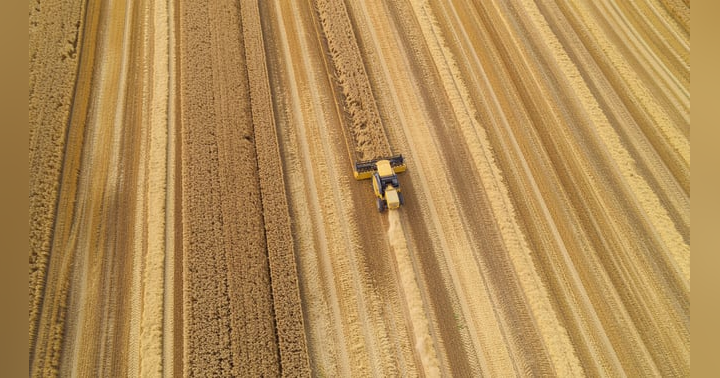 image for MATIF Weizen Futures