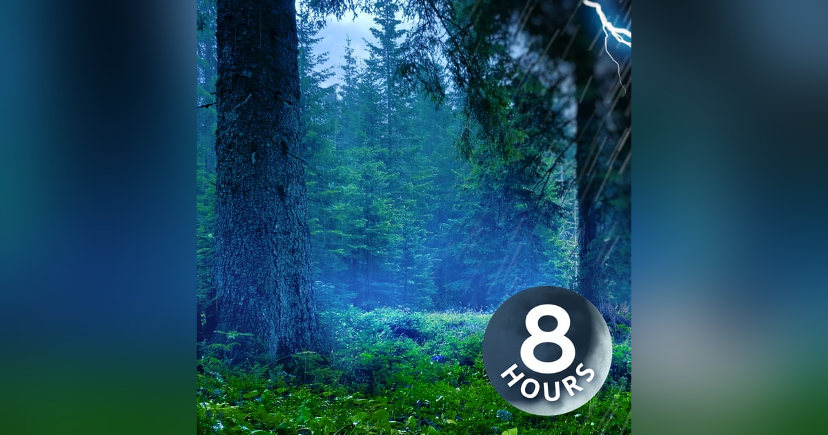 Thunderstorm for Sleep in Mystical Forest | 8-Hour Rainstorm and Thunder Sounds Thunderstorm for Sleep in Mystical Forest | 8-Hour Rainstorm and Thunder Sounds