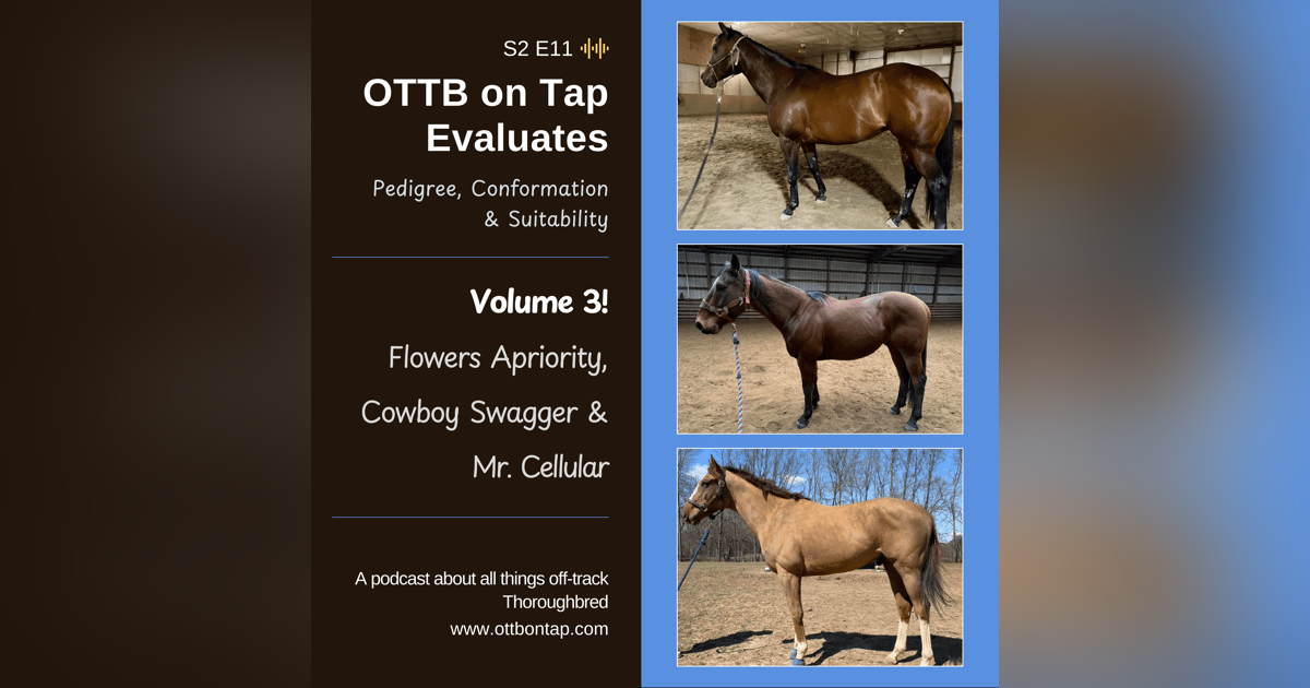 S2E11: OTTB on Tap Evaluates Vol 3 - Flowers Apriority, Cowboy Swagger and Mr. Cellular S2E11: OTTB on Tap Evaluates Vol 3 - Flowers Apriority, Cowboy Swagger and Mr. Cellular