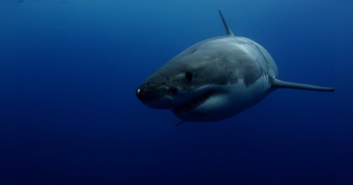 image for Why Taking Action Trumps Waiting for Perfection with Jose Berlanga