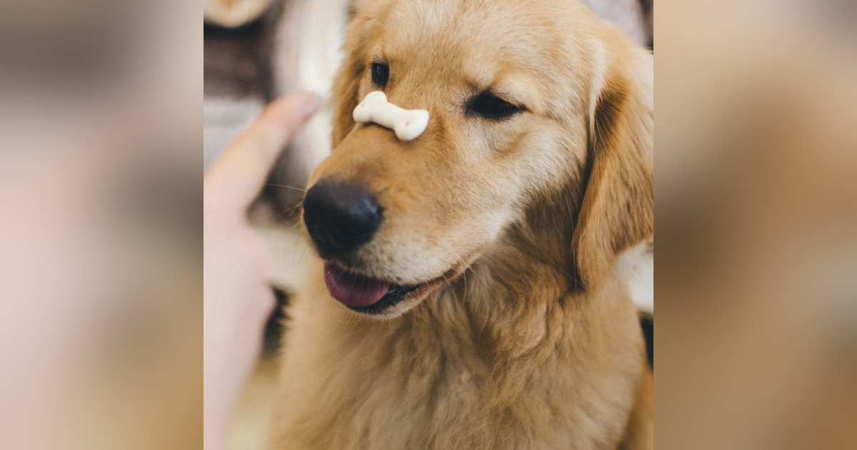 MOTIVATIONAL MOMENTS - EXPECTATIONS MOTIVATIONAL MOMENTS - EXPECTATIONS