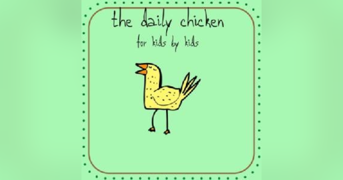 The Daily Chicken The Daily Chicken