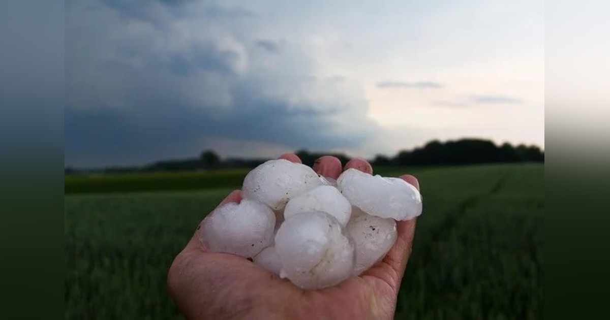 Ep 5: Hailstones and Mustard Seeds Ep 5: Hailstones and Mustard Seeds