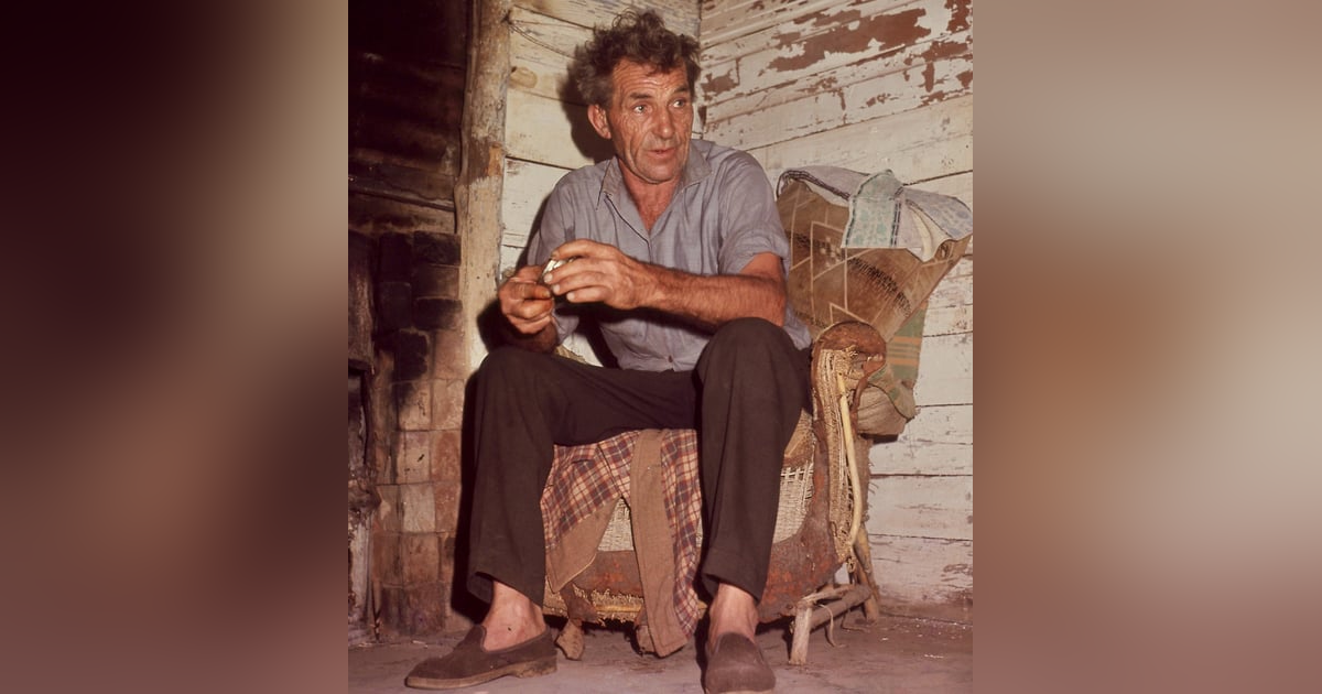 Who’s the nutty one? Chasing a bus, or serenely alone? Who’s the nutty one? Chasing a bus, or serenely alone?